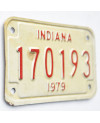 Moto americká ŠPZ Indiana 170193