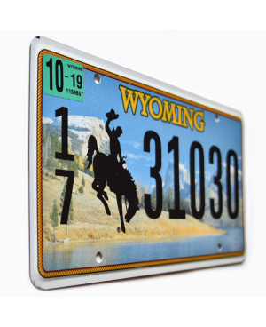 Americká ŠPZ Wyoming Country