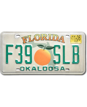 Americká ŠPZ Florida Orange