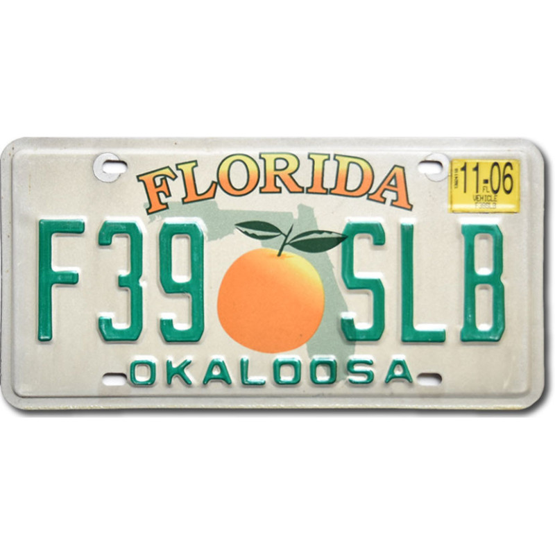 Americká ŠPZ Florida Orange