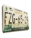 Mexická ŠPZ Durango Forest FZG-65-29