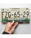 Mexická ŠPZ Durango Forest FZG-65-29