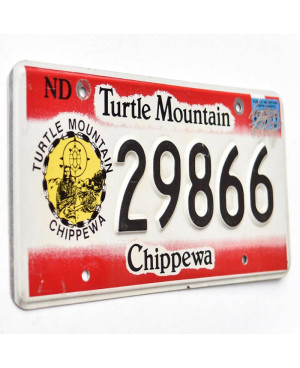 Americká ŠPZ North Dakota Turtle Mountains 29866