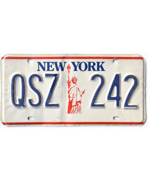 Americká ŠPZ New York Liberty QSZ 242