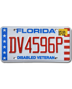 Americká ŠPZ Florida Disabled Veteran DV4596P