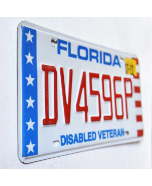 Americká ŠPZ Florida Disabled Veteran DV4596P