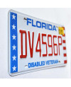 Americká ŠPZ Florida Disabled Veteran DV4596P