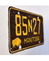 Kanadská ŠPZ Manitoba 1958 Black 85N27