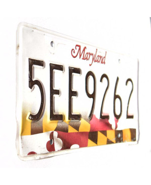 Americká ŠPZ Maryland Flag 5EE9262