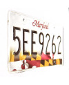 Americká ŠPZ Maryland Flag 5EE9262