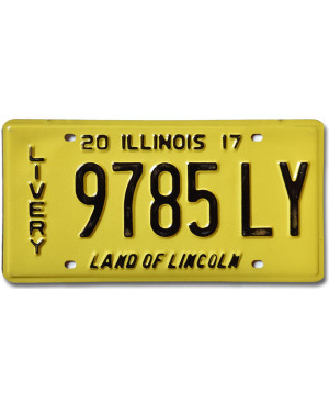 Americká ŠPZ Illinois 2017 Livery 9785LY