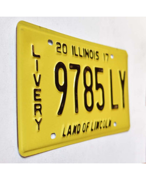 Americká ŠPZ Illinois 2017 Livery 9785LY
