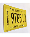 Americká ŠPZ Illinois 2017 Livery 9785LY
