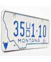 Americká ŠPZ Montana 1991 White 35UD1-10