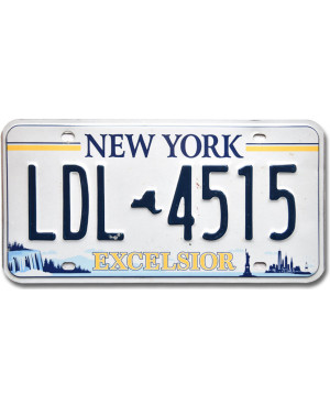 Americká ŠPZ New York Excelsior LDL 4515
