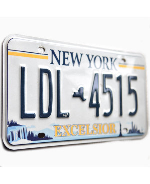 Americká ŠPZ New York Excelsior LDL 4515