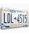 Americká ŠPZ New York Excelsior LDL 4515