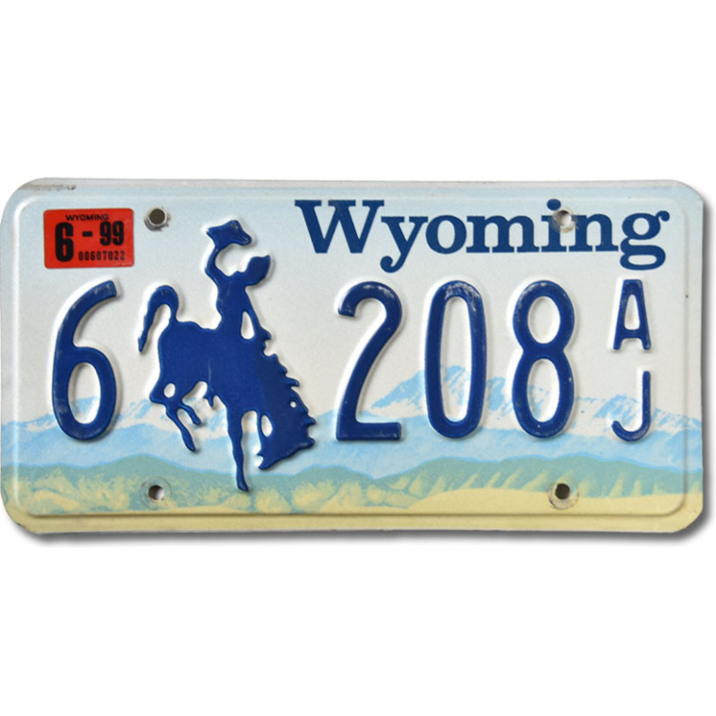 Americká ŠPZ Wyoming Blue Bronco 6-208AJ