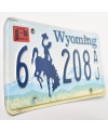 Americká ŠPZ Wyoming Blue Bronco 6-208AJ