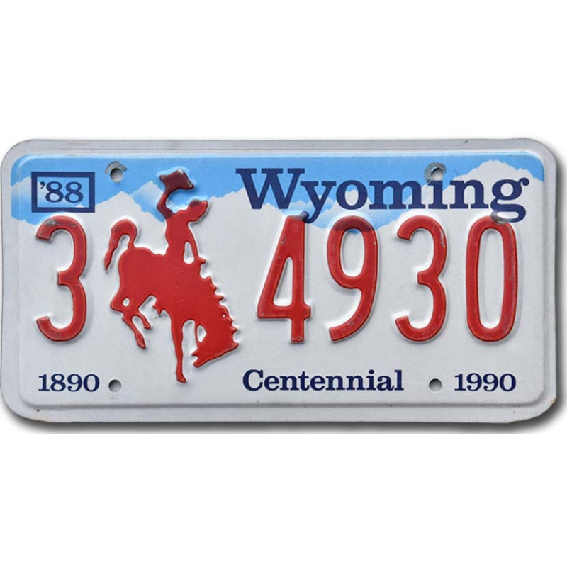 Americká ŠPZ Wyoming Bronco Centennial 3 4930