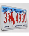 Americká ŠPZ Wyoming Bronco Centennial 3 4930