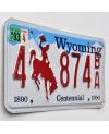 Americká ŠPZ Wyoming Bronco Centennial 4 874BA