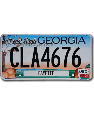 Americká ŠPZ Georgia Peach State flat