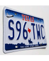 Americká ŠPZ Texas Horse S96 TWC