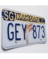 Americká ŠPZ Kansas 1989 Wheat GEY 873