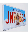 Americká ŠPZ Alaska Grizzly Bear JWF 664