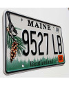 Americká ŠPZ Maine Chickadee 9527 LB
