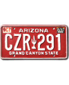 Americká ŠPZ Arizona Red Cactus CZR 291