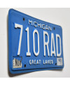 Americká ŠPZ Michigan Great Lakes 710 RAD