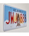 Americká ŠPZ Alaska Grizzly Bear JWJ 888