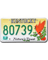 Americká ŠPZ Kentucky Cardinal 80738