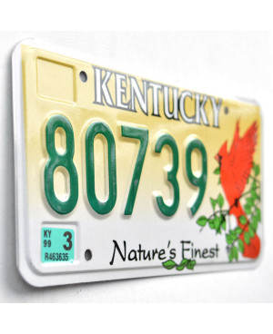 Americká ŠPZ Kentucky Cardinal 80738