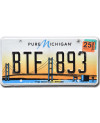 Americká ŠPZ Michigan Mackinac Bridge BTF 893