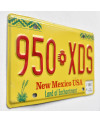 Americká ŠPZ New Mexico Enchantment 950 XDS
