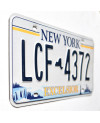 Americká ŠPZ New York Excelsior LCF 4372