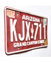 Americká ŠPZ Arizona Red Cactus KJX 711