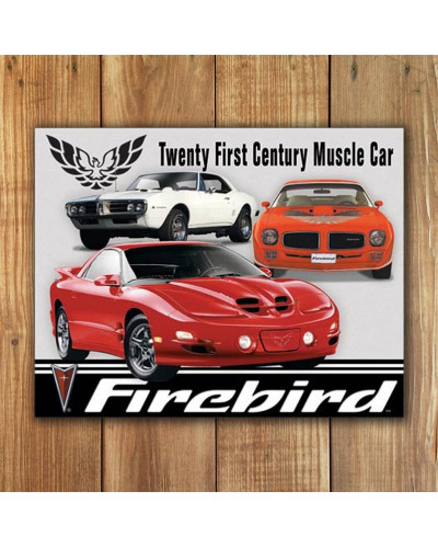 Plechová ceduľa Pontiac Firebird Tribute 40 cm x 32 cm w