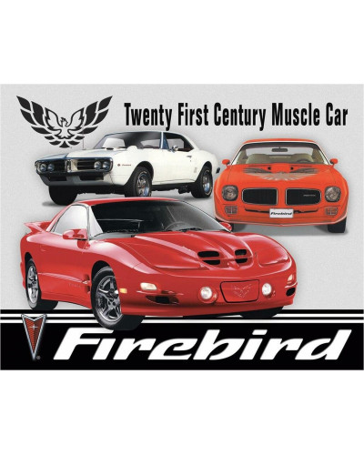 Plechová ceduľa Pontiac Firebird Tribute 40 cm x 32 cm