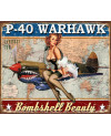 Plechová ceduľa P-40 Warhawk 40 cm x 32 cm