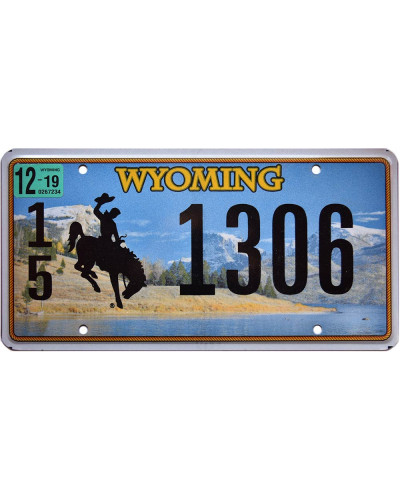 Americká ŠPZ Wyoming Country