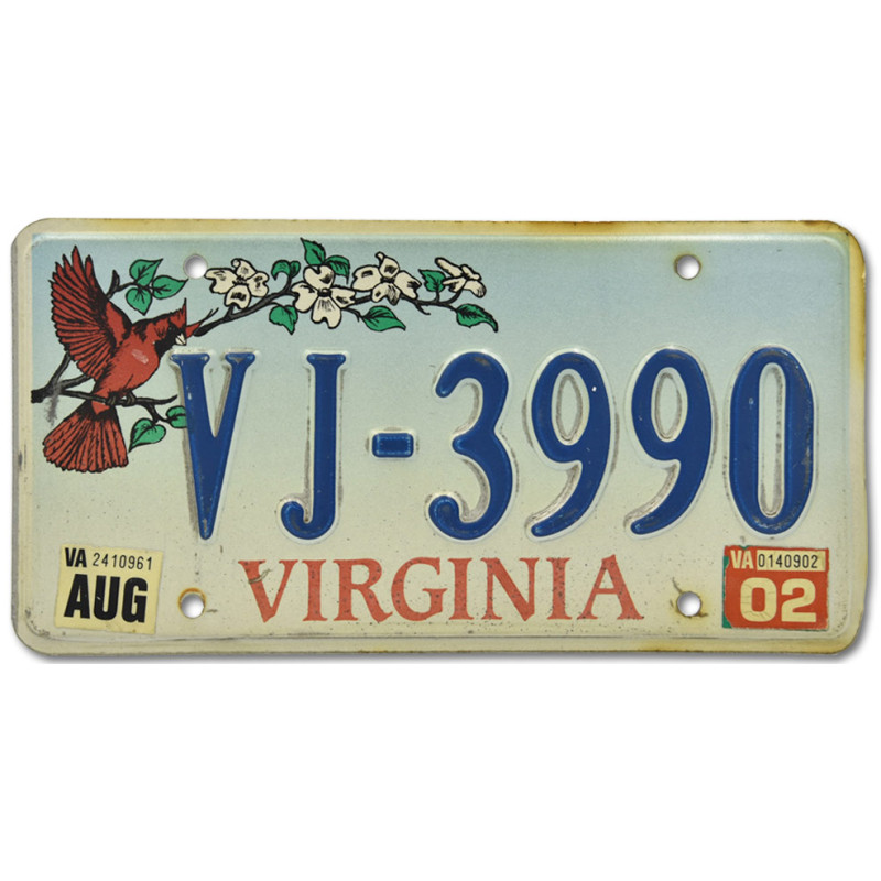Americká ŠPZ Virginia Cardinal VJ 3990