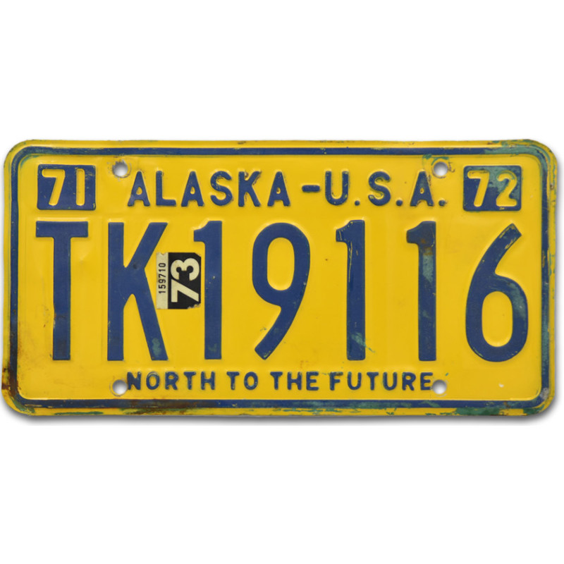 Americká ŠPZ Alaska North to the Future TK 19116