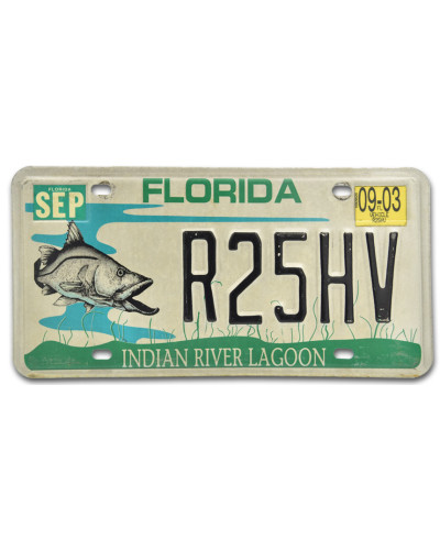 Americká ŠPZ Florida Lagoon R25HV