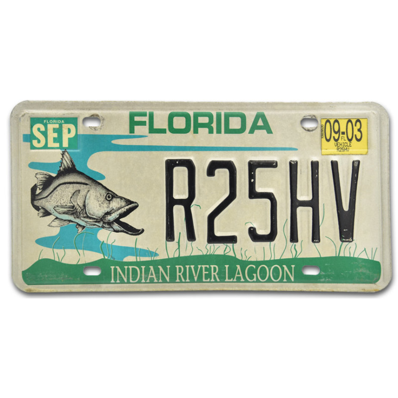 Americká SPZ Florida Lagoon R25HV