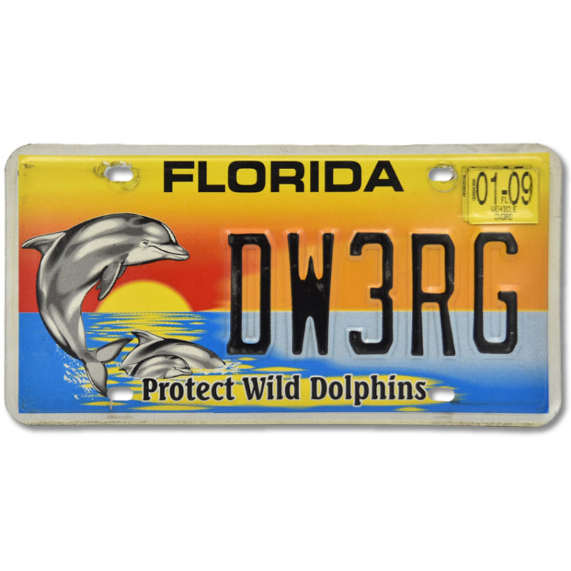 Americká SPZ Florida Protect Wild Dolphins DW3RG