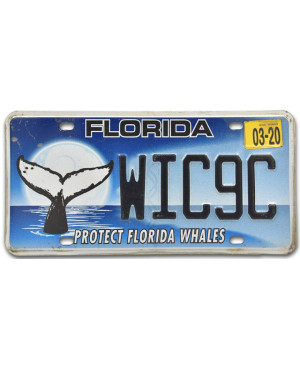 Americká ŠPZ Florida Protect Whales WIC9C